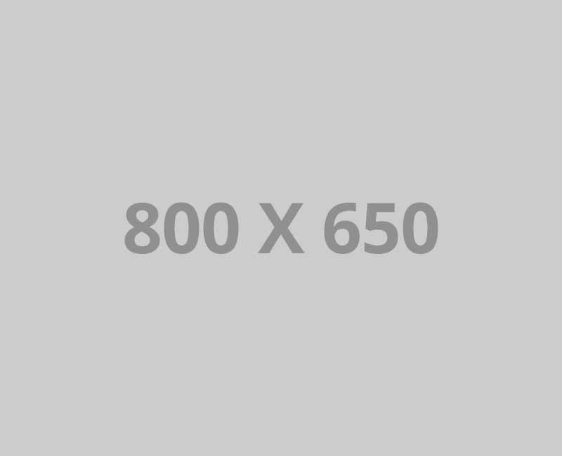 Portfolio title 1